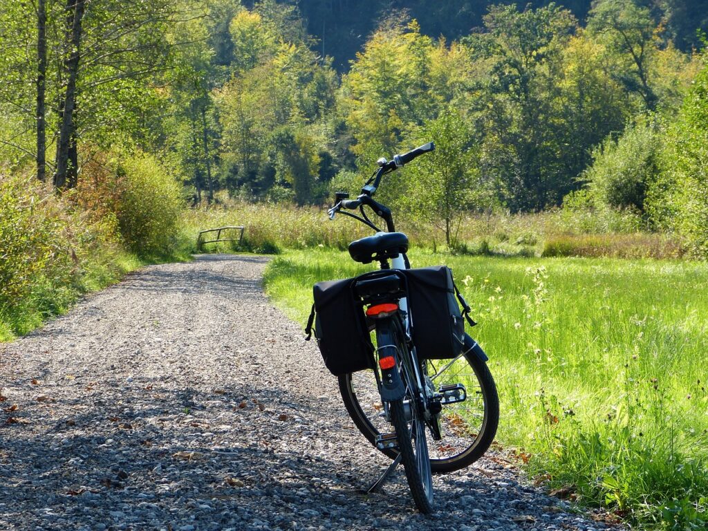 Explore the World of E-Bikes: Electric Cycling Made Easy.